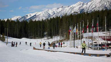 Cross Country Skiiers at Canmore Nordic Centre